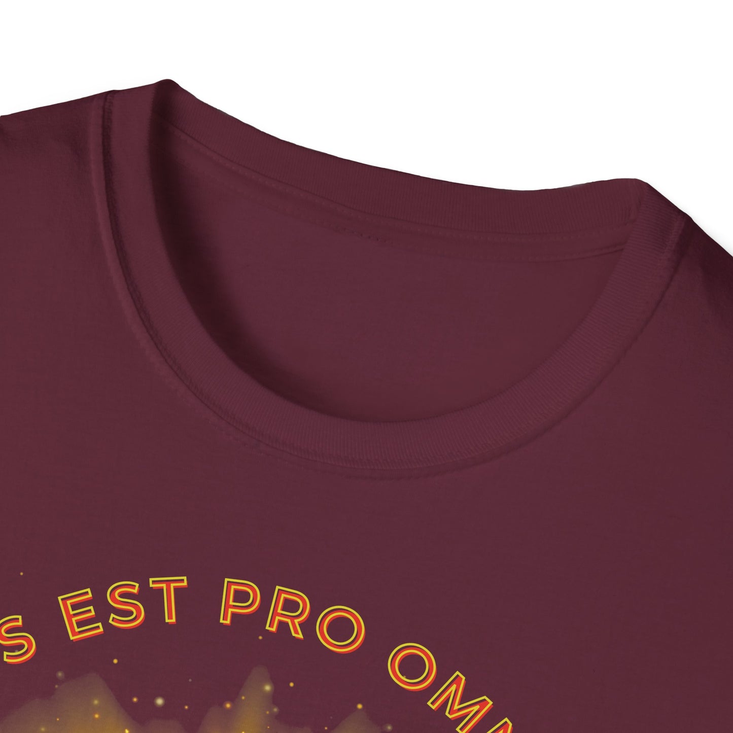 Satis Est Pro Omnibus Tee